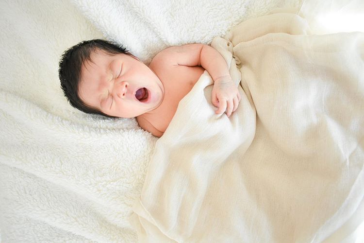 Bayi Yang Baru Lahir, sumber ig peccopecopeko