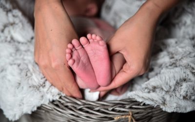 Aqiqah Sesuai Sunnah Nabi Muhammad SAW